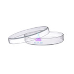 Tissue Culture Dish
